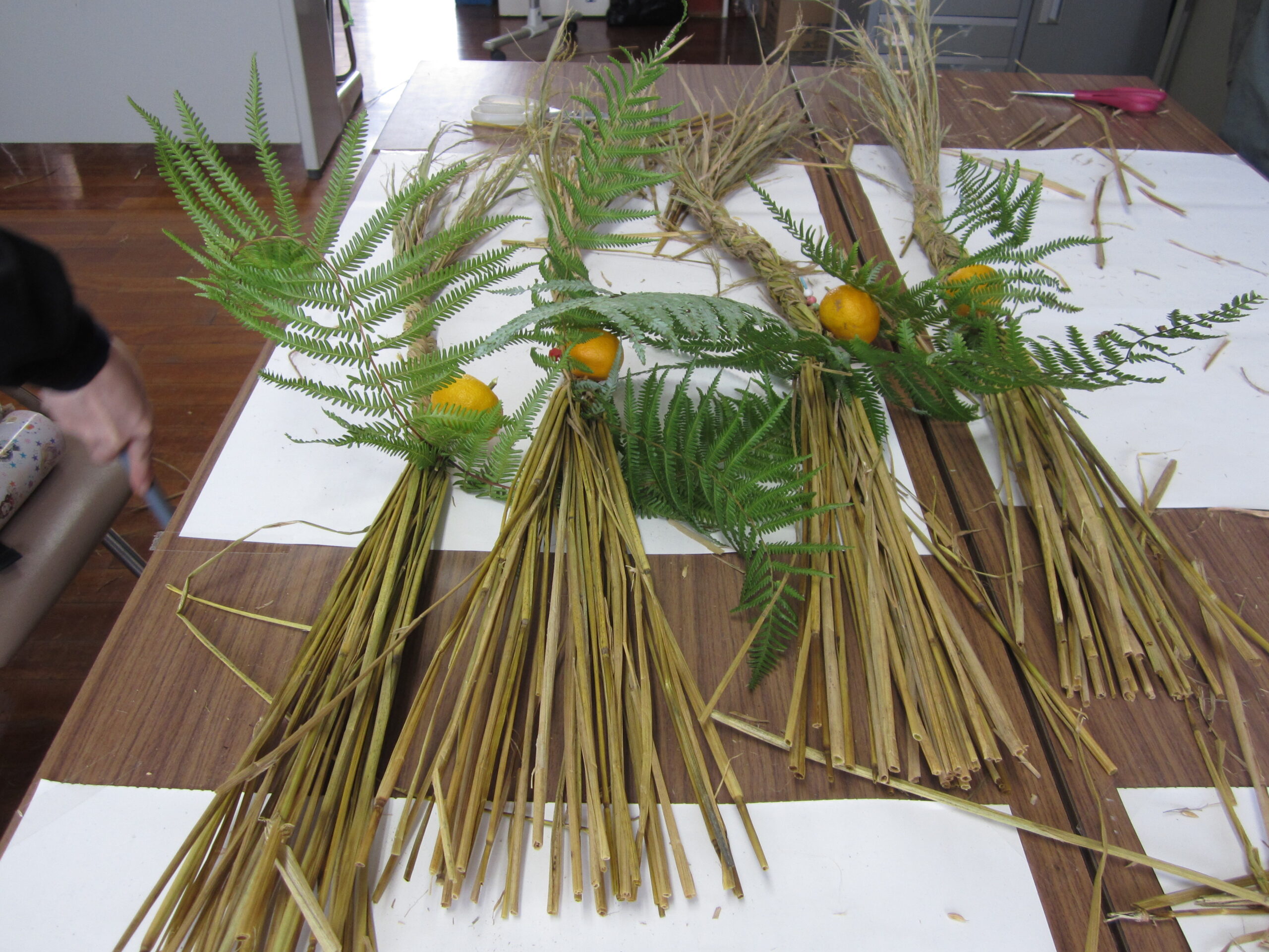 １２月の活動報告